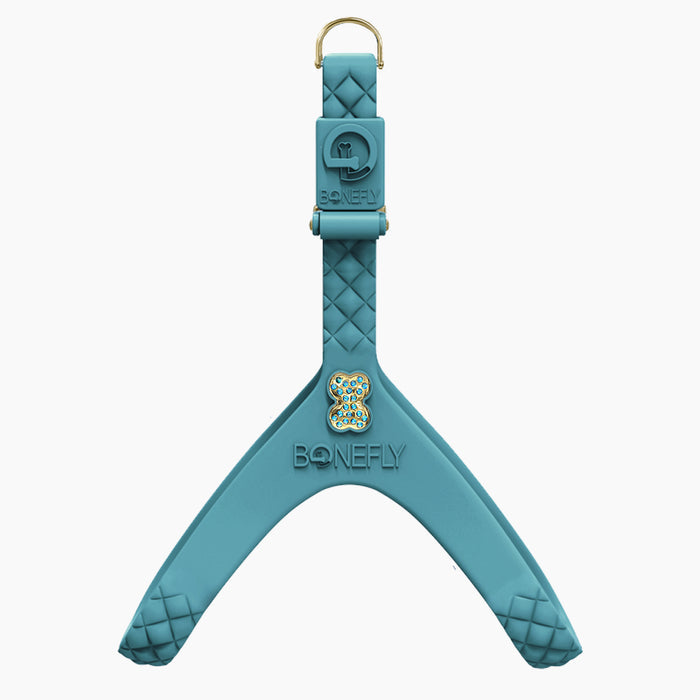 Gold/Aqua / XS