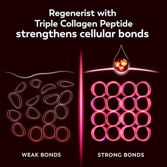Graphics showing weak and strong cellular bonds. Regenerist with Triple Collagen Peptide strengthens cellular bonds.