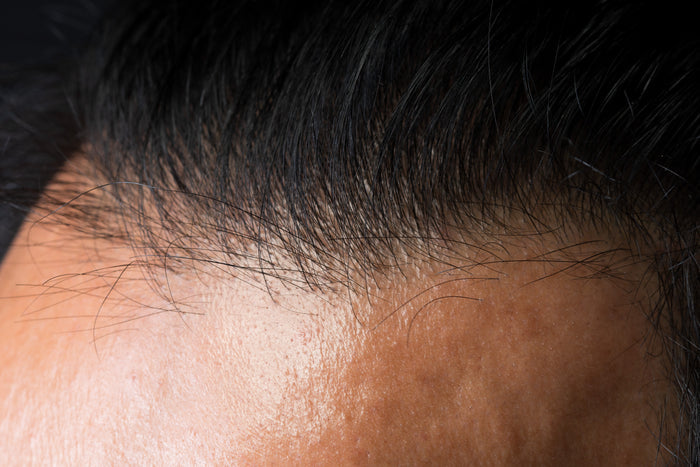 Silkeed Scalp Pencil Hair Ampoule