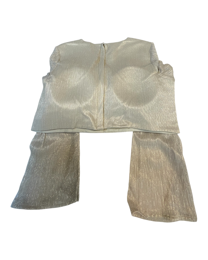Size 42" / UK 16 - Champagne - Long Sleeve High Back Saree blouse with cups - UK Stock - Quick Delivery - RNK - N552A-KR