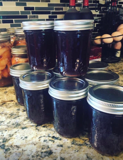 Elderberry Syrup DIY eBook, Canning Tips eBook, DIY Elderberry Syrup kit, Elderberry Syrup Recipe, How to Preserve Elderberry, Preserving Elderberry eBook, Homesteading eBooks, Tips for Homesteading, eBooks for homesteading, eBook for canning tips