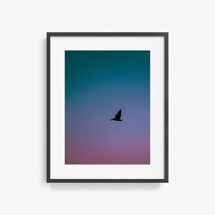 24 x 18 inches | Edition of 15 / Black / Matted