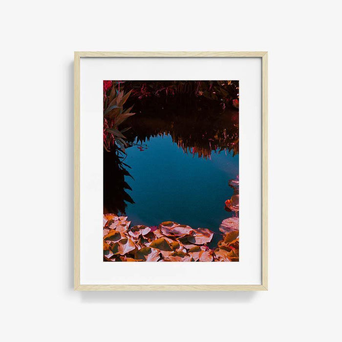 24 x 18 inches | Edition of 15 / Natural / Matted