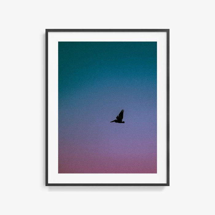 40 x 30 inches | Edition of 10 / Black / Matted