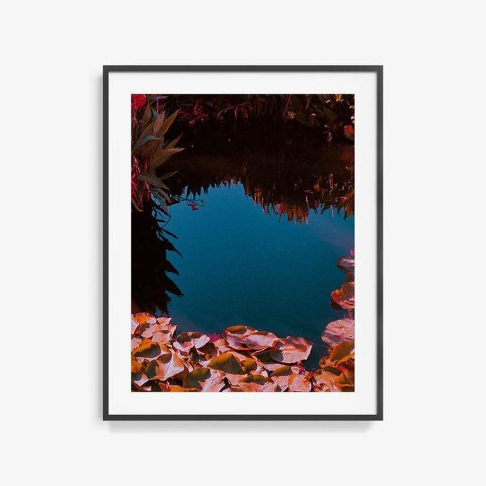 40 x 30 inches | Edition of 10 / Black / Matted