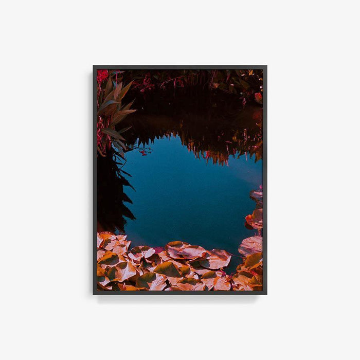 40 x 30 inches | Edition of 10 / Black / Full Bleed