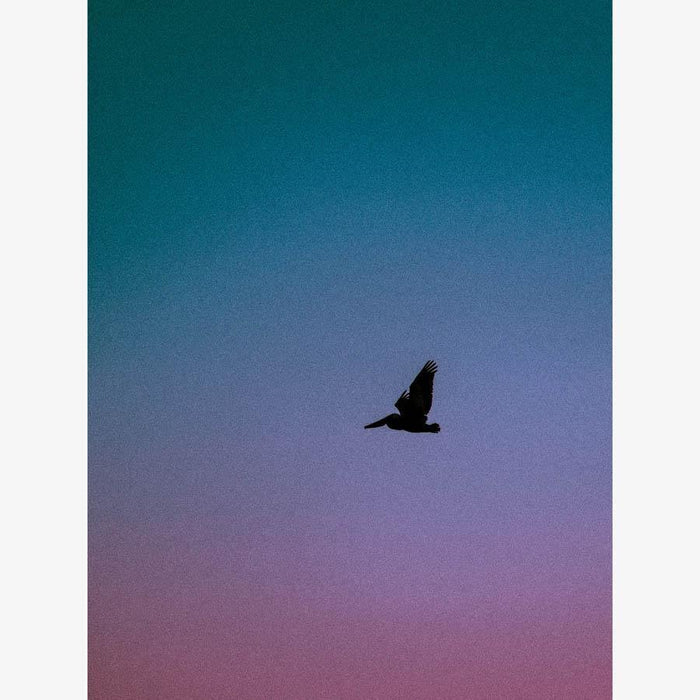 Untitled , Photography by Untitled Tappan