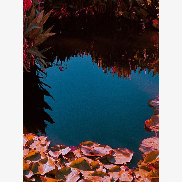 Untitled , Photography by Untitled Tappan