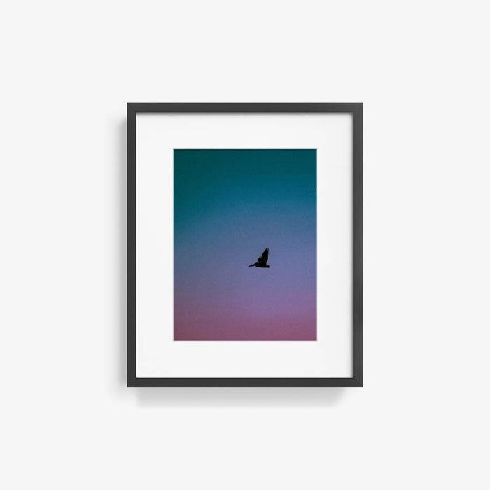 Untitled , Photography by Untitled Tappan