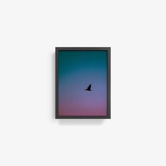 16 x 12 inches | Edition of 20 / Black / Full Bleed