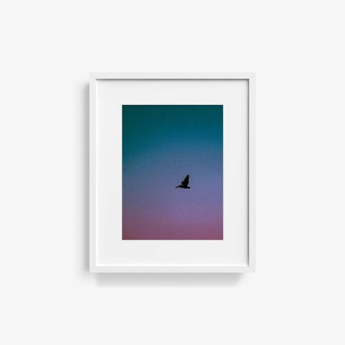 16 x 12 inches | Edition of 20 / White / Matted