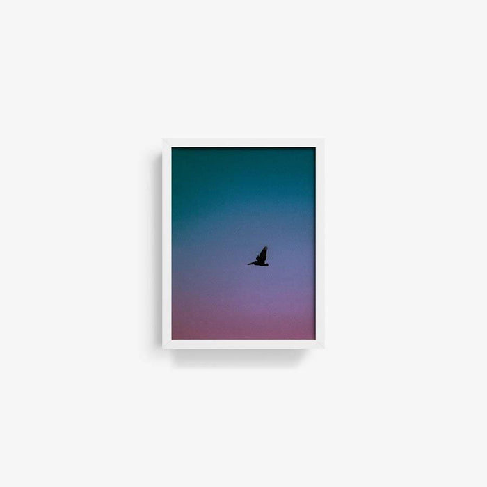 16 x 12 inches | Edition of 20 / White / Full Bleed