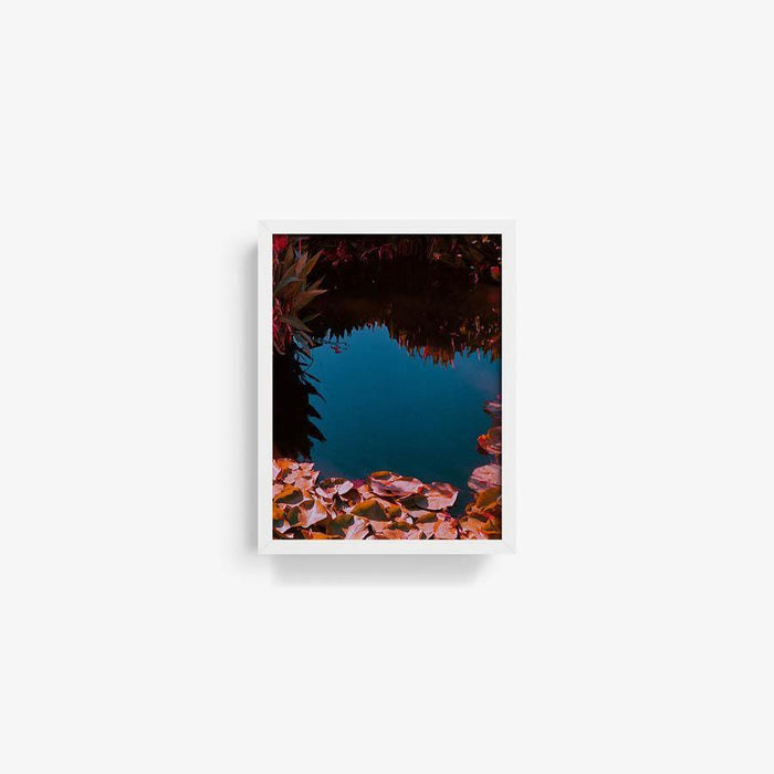 16 x 12 inches | Edition of 20 / White / Full Bleed