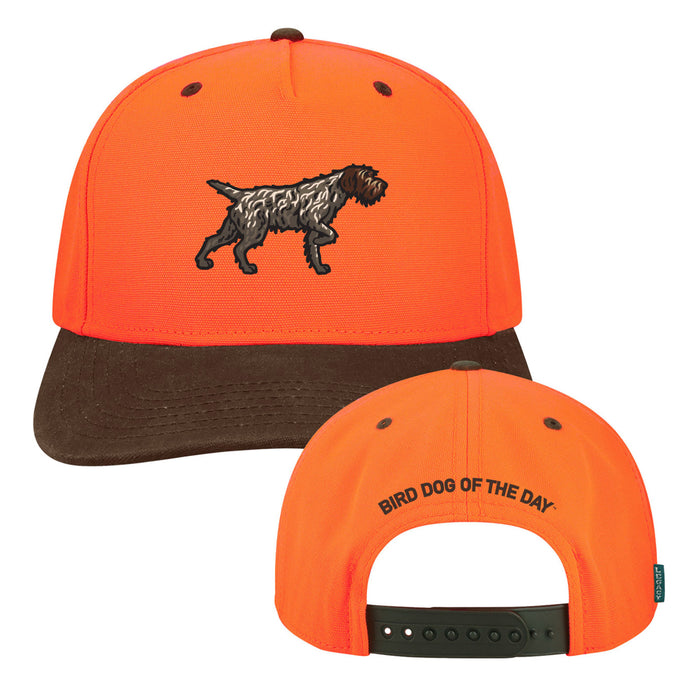 Wirehaired Pointing Griffon Hat