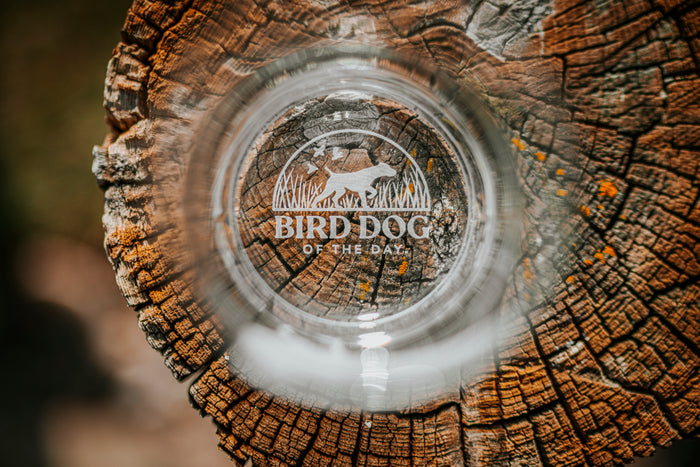 Wirehaired Pointing Griffon Whiskey Glass